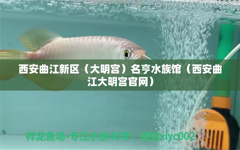 西安曲江新區(qū)（大明宮）名亨水族館（西安曲江大明宮官網(wǎng)）