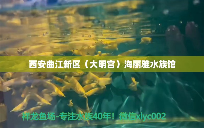 西安曲江新區(qū)（大明宮）海麗雅水族館