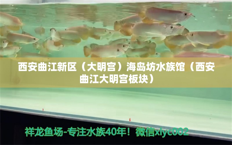 西安曲江新區(qū)（大明宮）海島坊水族館（西安曲江大明宮板塊）