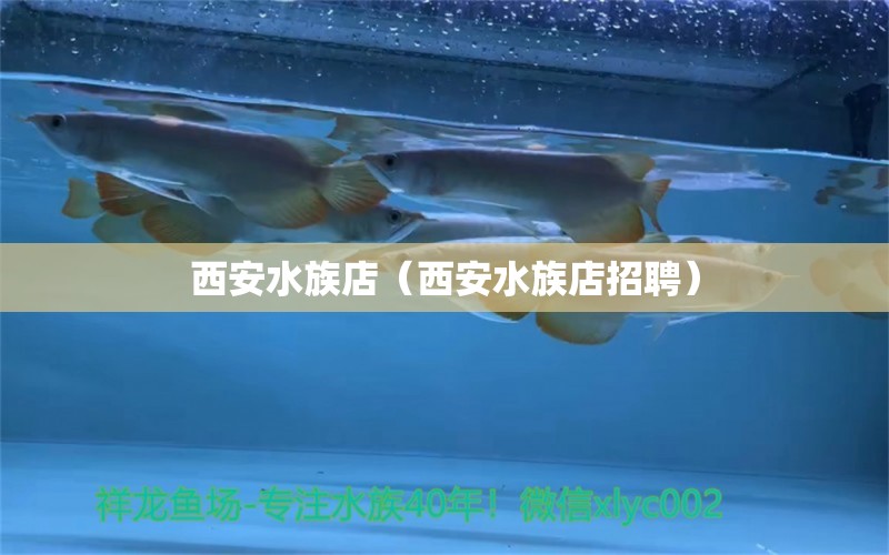 西安水族店（西安水族店招聘）