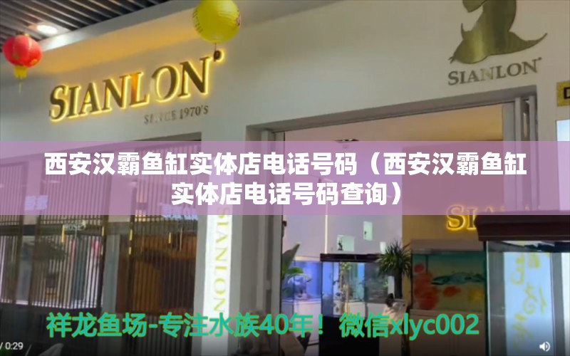 西安漢霸魚缸實體店電話號碼（西安漢霸魚缸實體店電話號碼查詢） 斯維尼關(guān)刀魚