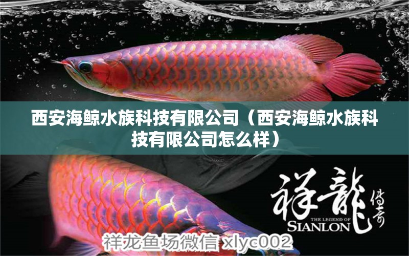 西安海鯨水族科技有限公司（西安海鯨水族科技有限公司怎么樣）