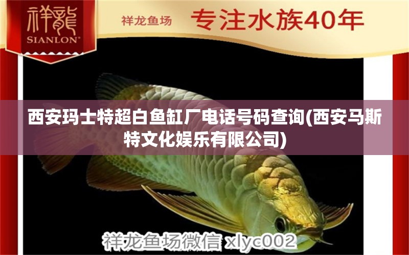 西安瑪士特超白魚缸廠電話號(hào)碼查詢(西安馬斯特文化娛樂有限公司)