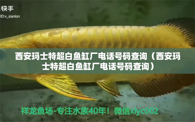 西安瑪士特超白魚缸廠電話號碼查詢（西安瑪士特超白魚缸廠電話號碼查詢）