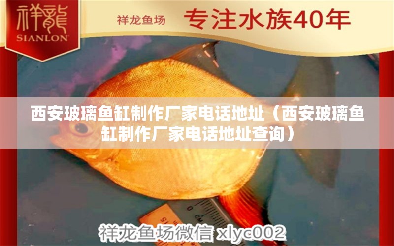 西安玻璃魚(yú)缸制作廠家電話地址（西安玻璃魚(yú)缸制作廠家電話地址查詢(xún)） 量子養(yǎng)魚(yú)技術(shù)