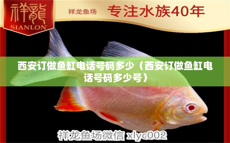 西安訂做魚缸電話號碼多少（西安訂做魚缸電話號碼多少號） 祥龍水族醫(yī)院