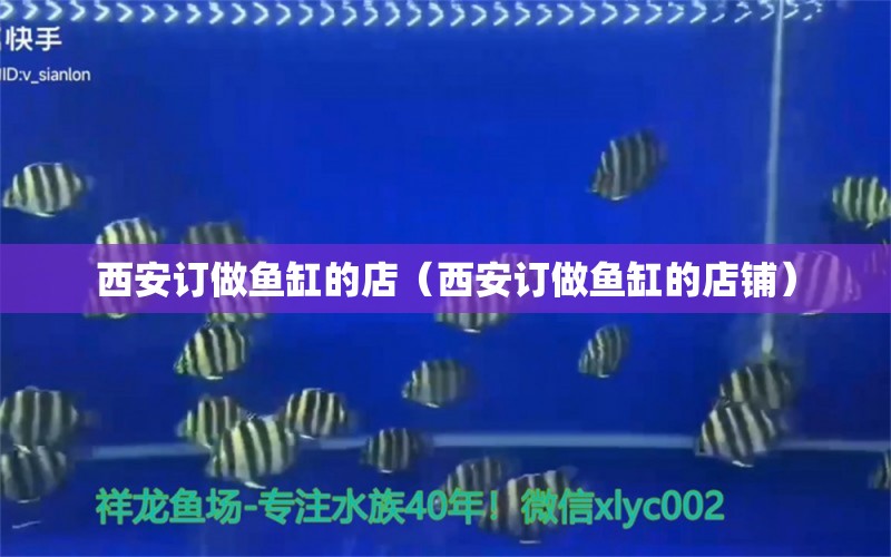 西安訂做魚缸的店（西安訂做魚缸的店鋪）