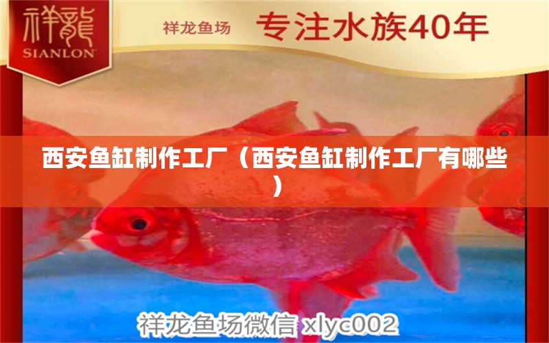 西安魚缸制作工廠（西安魚缸制作工廠有哪些） 其他品牌魚缸