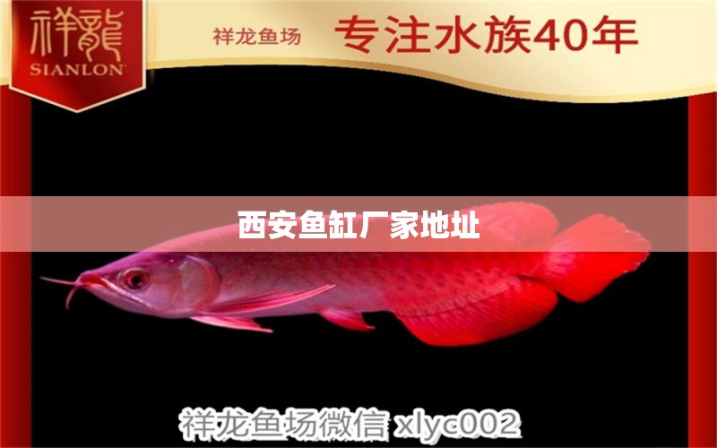 西安魚缸廠家地址