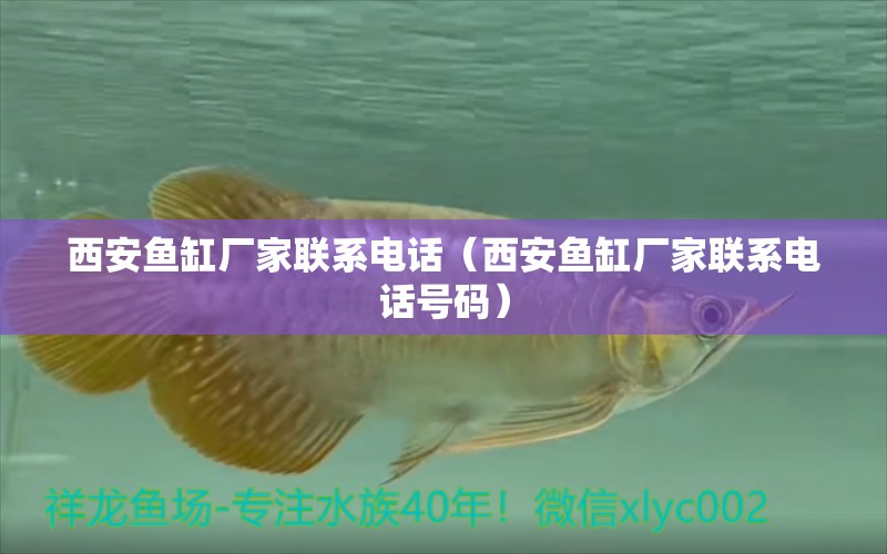 西安魚缸廠家聯(lián)系電話（西安魚缸廠家聯(lián)系電話號(hào)碼）