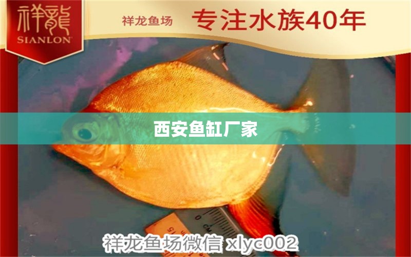 西安魚缸廠家