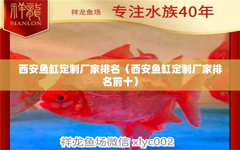 西安魚缸定制廠家排名（西安魚缸定制廠家排名前十） 其他品牌魚缸