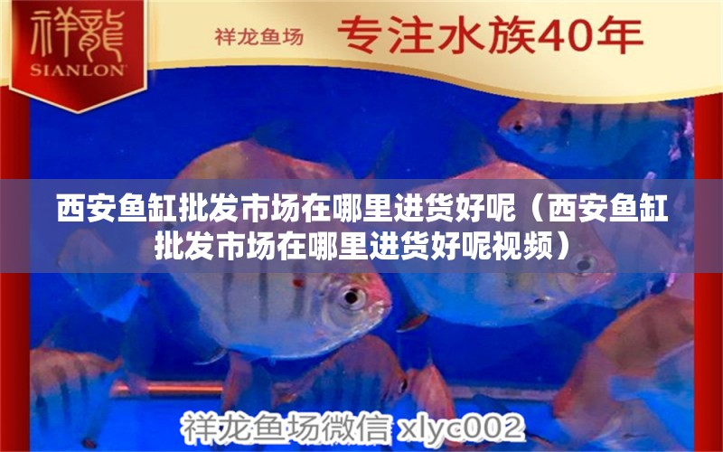 西安魚缸批發(fā)市場在哪里進(jìn)貨好呢（西安魚缸批發(fā)市場在哪里進(jìn)貨好呢視頻）