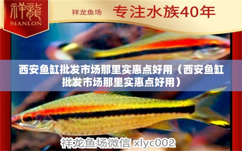 西安魚缸批發(fā)市場那里實惠點好用（西安魚缸批發(fā)市場那里實惠點好用） 殺菌消毒設備