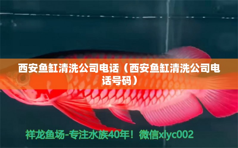 西安魚缸清洗公司電話（西安魚缸清洗公司電話號碼）