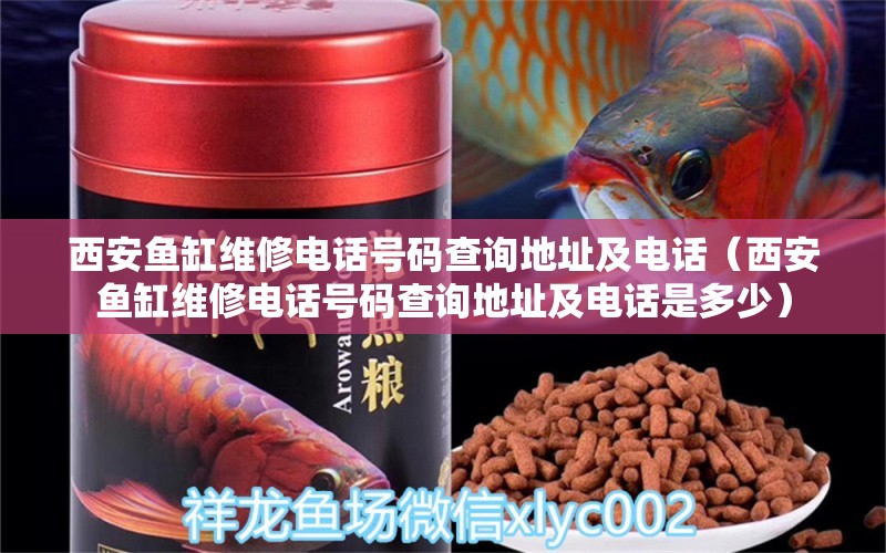 西安魚缸維修電話號(hào)碼查詢地址及電話（西安魚缸維修電話號(hào)碼查詢地址及電話是多少）