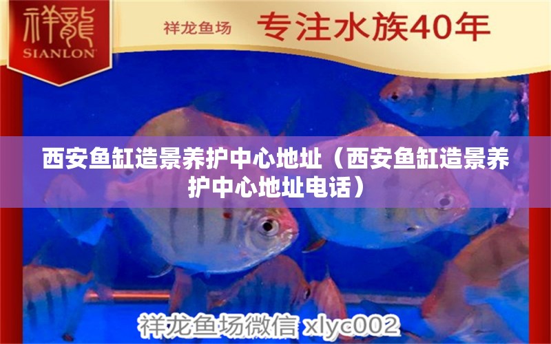 西安魚缸造景養(yǎng)護(hù)中心地址（西安魚缸造景養(yǎng)護(hù)中心地址電話）