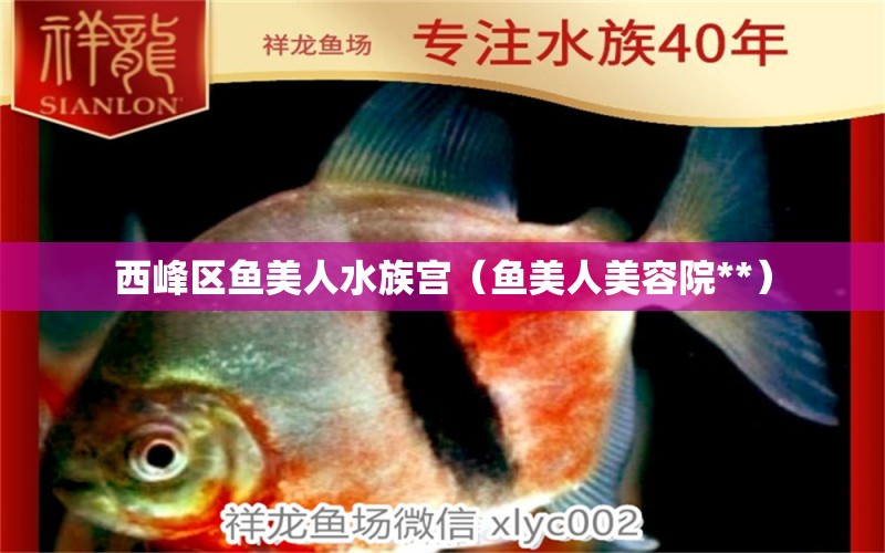 西峰區(qū)魚(yú)美人水族宮（魚(yú)美人美容院**）