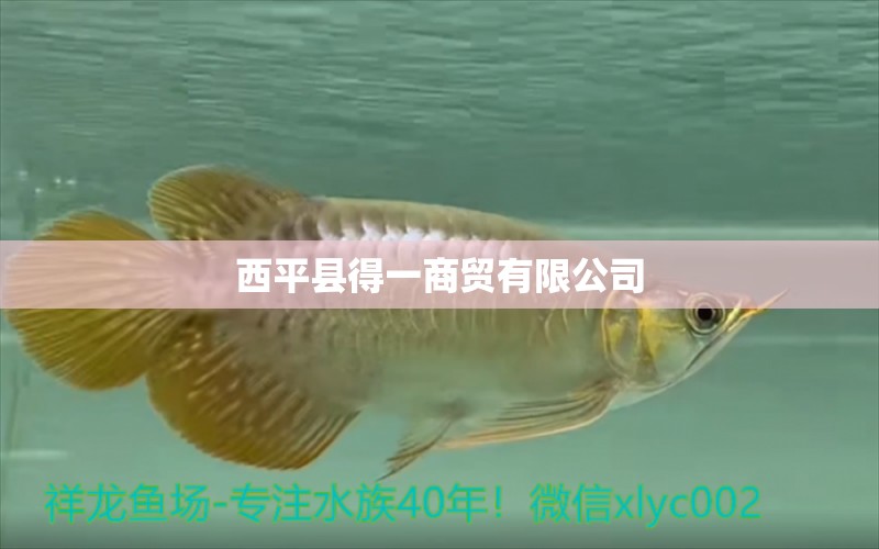 西平縣得一商貿(mào)有限公司 全國(guó)水族館企業(yè)名錄