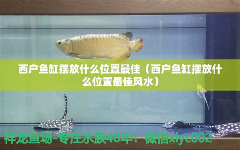 西戶魚(yú)缸擺放什么位置最佳（西戶魚(yú)缸擺放什么位置最佳風(fēng)水） 魚(yú)缸風(fēng)水