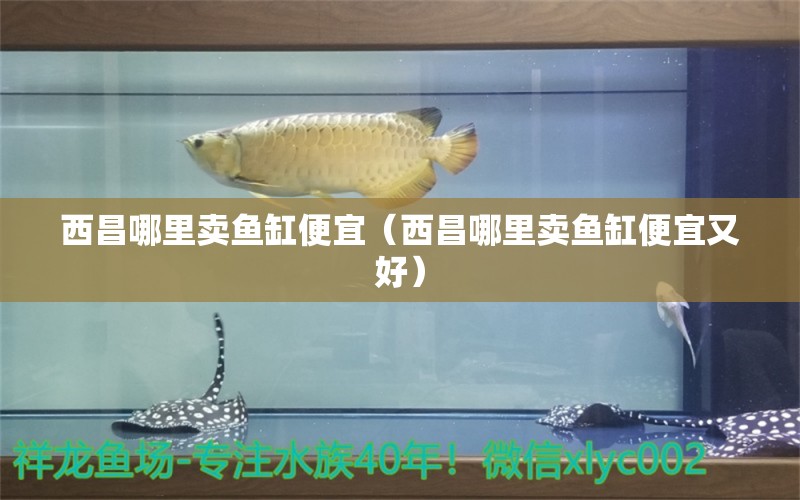 西昌哪里賣魚缸便宜（西昌哪里賣魚缸便宜又好）