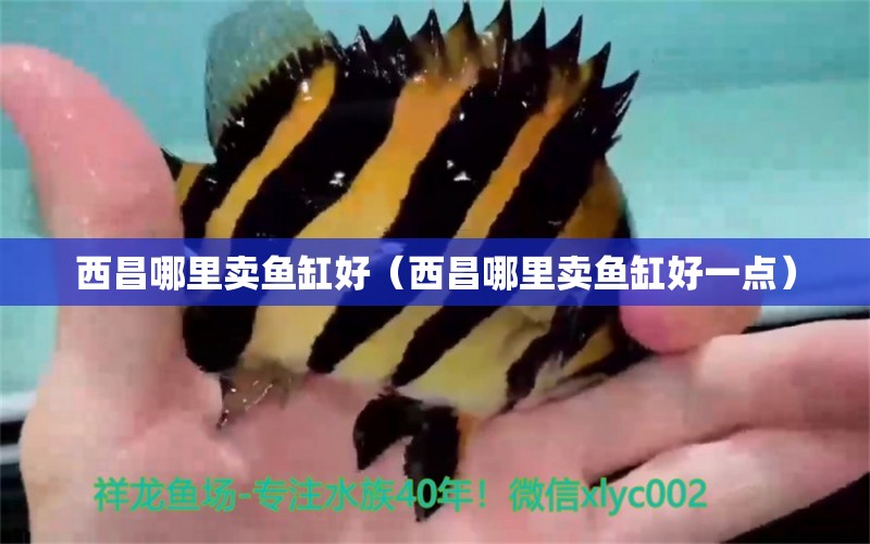 西昌哪里賣魚缸好（西昌哪里賣魚缸好一點(diǎn)）