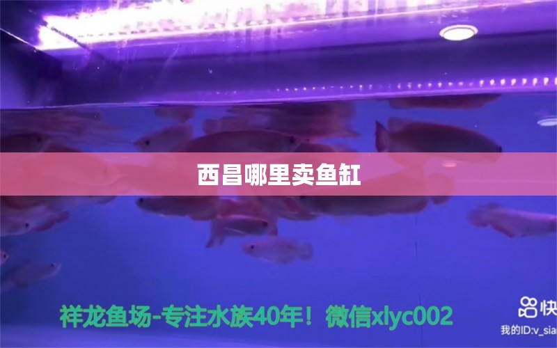 西昌哪里賣魚缸