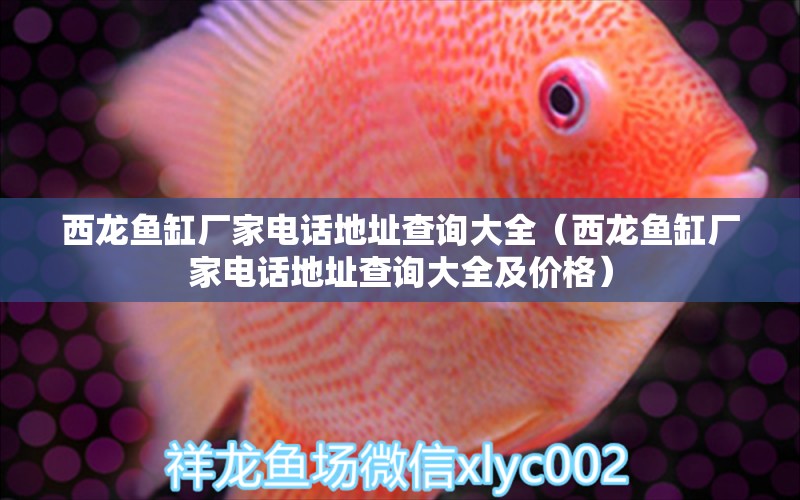 西龍魚缸廠家電話地址查詢大全（西龍魚缸廠家電話地址查詢大全及價(jià)格） 祥龍水族醫(yī)院