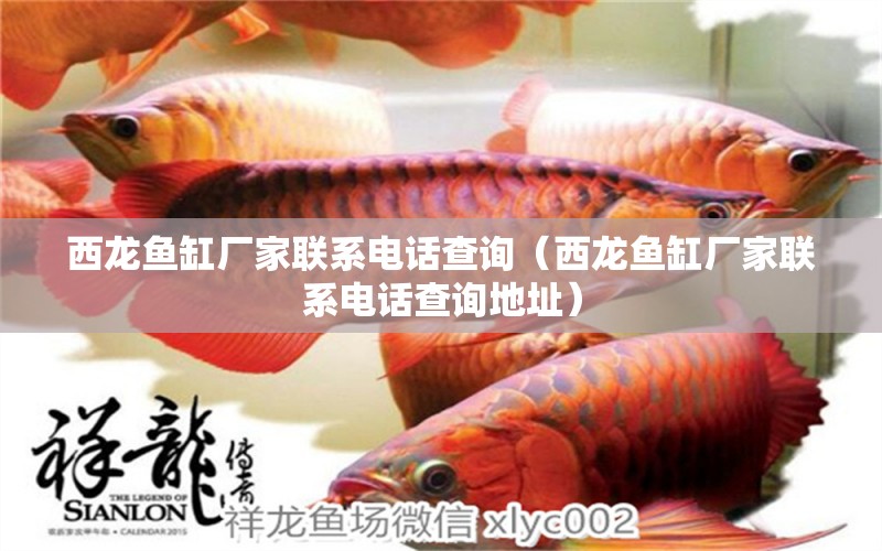 西龍魚缸廠家聯(lián)系電話查詢（西龍魚缸廠家聯(lián)系電話查詢地址）