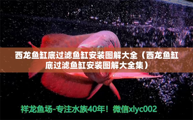 西龍魚缸底過濾魚缸安裝圖解大全（西龍魚缸底過濾魚缸安裝圖解大全集）