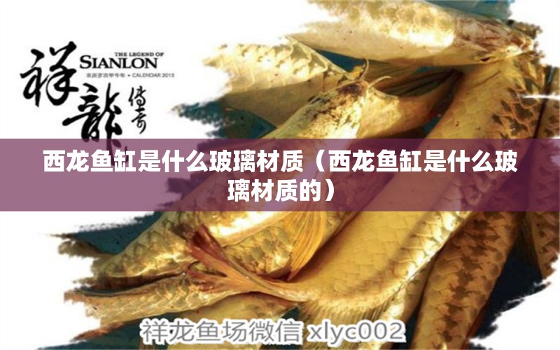 西龍魚(yú)缸是什么玻璃材質(zhì)（西龍魚(yú)缸是什么玻璃材質(zhì)的）