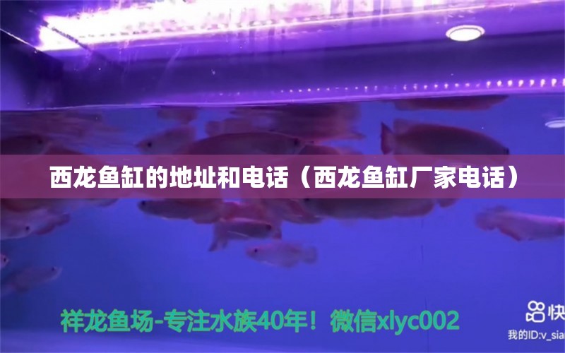 西龍魚缸的地址和電話（西龍魚缸廠家電話）