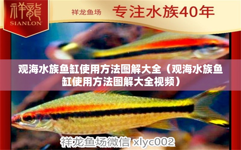 觀海水族魚缸使用方法圖解大全（觀海水族魚缸使用方法圖解大全視頻） 觀賞魚市場（混養(yǎng)魚）