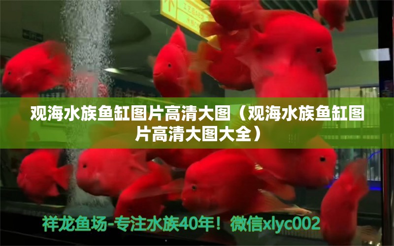 觀海水族魚缸圖片高清大圖（觀海水族魚缸圖片高清大圖大全） 觀賞魚市場(chǎng)（混養(yǎng)魚）