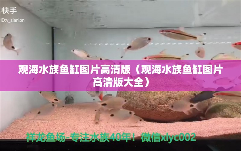 觀海水族魚缸圖片高清版（觀海水族魚缸圖片高清版大全） 量子養(yǎng)魚技術(shù)