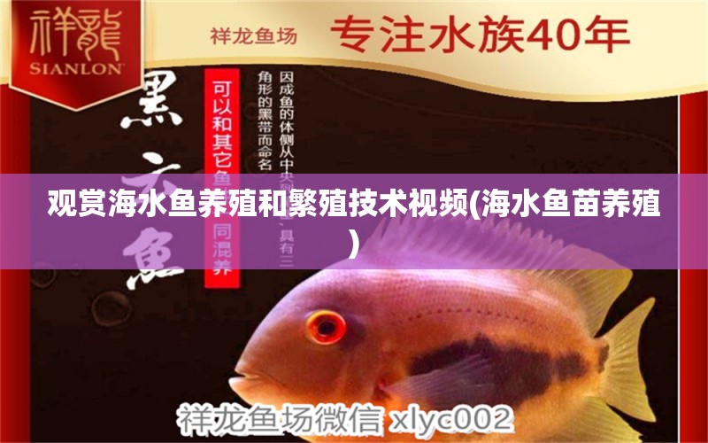 觀賞海水魚(yú)養(yǎng)殖和繁殖技術(shù)視頻(海水魚(yú)苗養(yǎng)殖) 海水魚(yú)