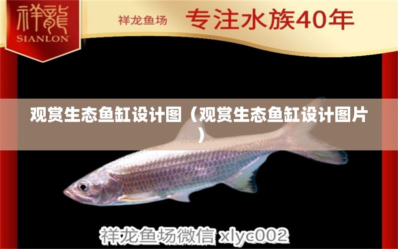 觀賞生態(tài)魚缸設(shè)計(jì)圖（觀賞生態(tài)魚缸設(shè)計(jì)圖片）