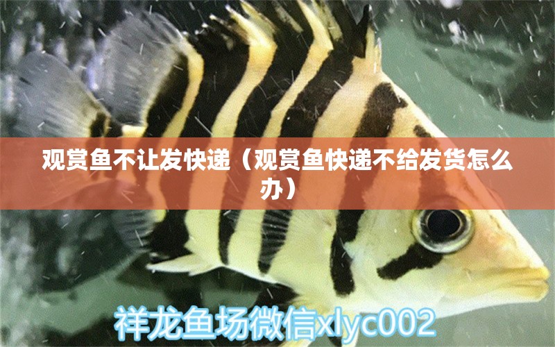 觀賞魚不讓發(fā)快遞（觀賞魚快遞不給發(fā)貨怎么辦）