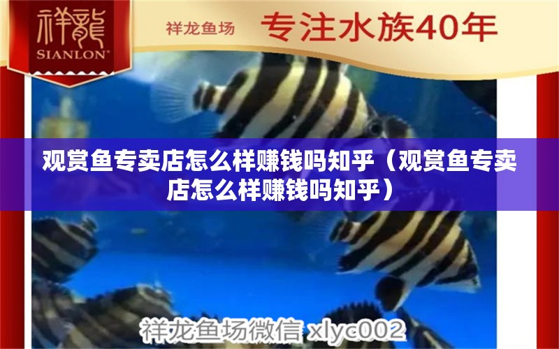 觀賞魚專賣店怎么樣賺錢嗎知乎（觀賞魚專賣店怎么樣賺錢嗎知乎）