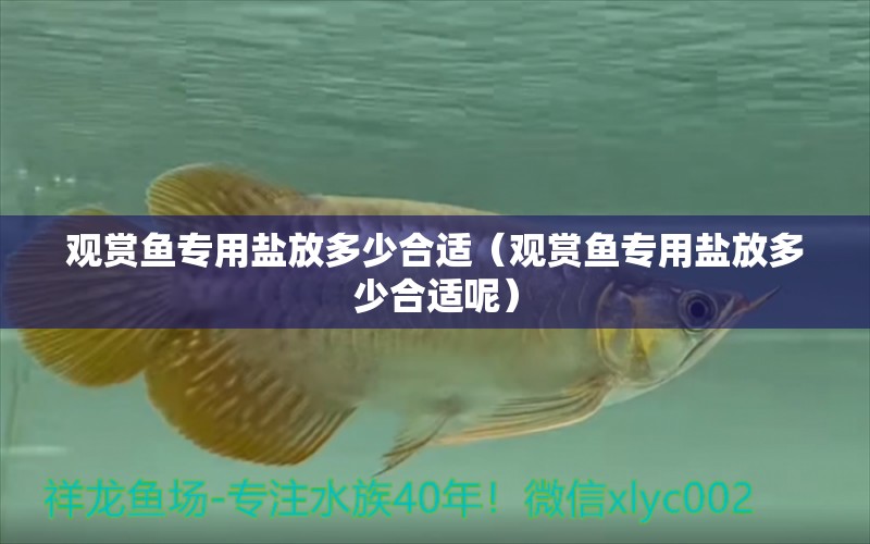 觀賞魚專用鹽放多少合適（觀賞魚專用鹽放多少合適呢）