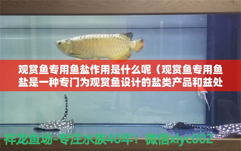 觀賞魚專用魚鹽作用是什么呢（觀賞魚專用魚鹽是一種專門為觀賞魚設(shè)計的鹽類產(chǎn)品和益處） 創(chuàng)寧水族 第2張