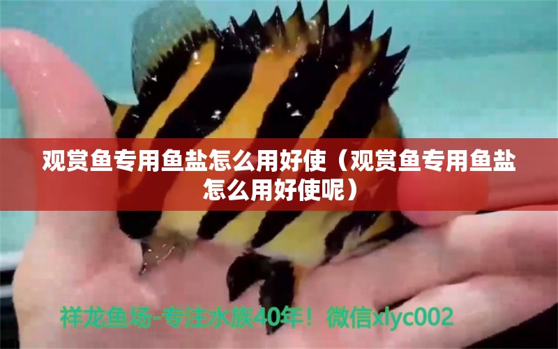 觀賞魚專用魚鹽怎么用好使（觀賞魚專用魚鹽怎么用好使呢）