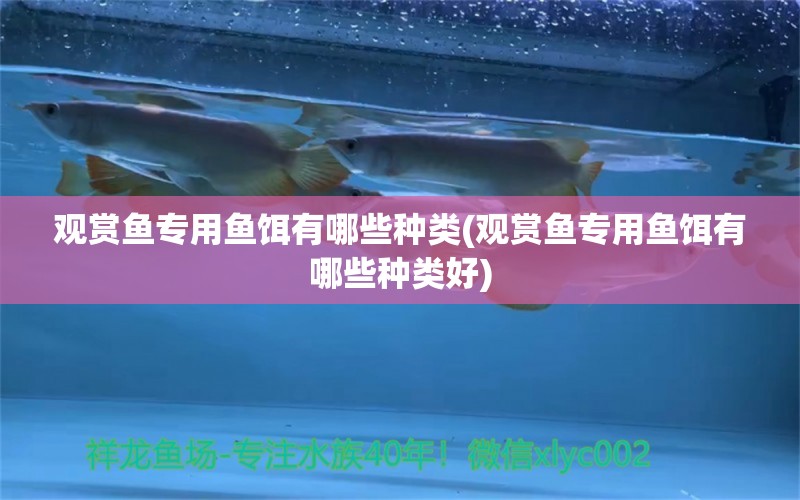 觀賞魚專用魚餌有哪些種類(觀賞魚專用魚餌有哪些種類好) 祥龍藍(lán)珀金龍魚 第1張