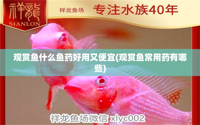 觀賞魚什么魚藥好用又便宜(觀賞魚常用藥有哪些) 黑桃A魚