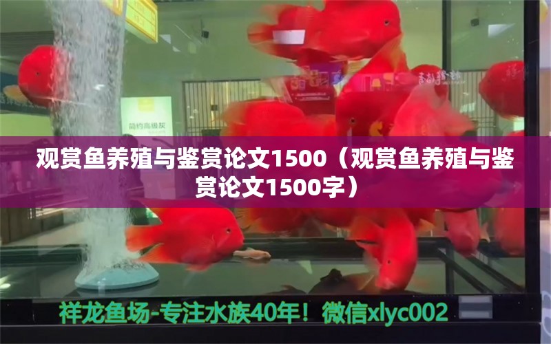 觀賞魚養(yǎng)殖與鑒賞論文1500（觀賞魚養(yǎng)殖與鑒賞論文1500字） 觀賞魚市場（混養(yǎng)魚）