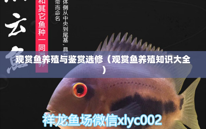 觀賞魚養(yǎng)殖與鑒賞選修（觀賞魚養(yǎng)殖知識大全）