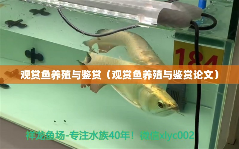 觀賞魚養(yǎng)殖與鑒賞（觀賞魚養(yǎng)殖與鑒賞論文） 祥龍水族醫(yī)院