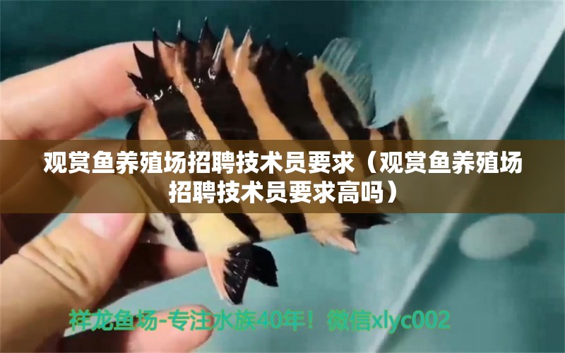 觀賞魚養(yǎng)殖場招聘技術(shù)員要求（觀賞魚養(yǎng)殖場招聘技術(shù)員要求高嗎） 祥龍水族醫(yī)院