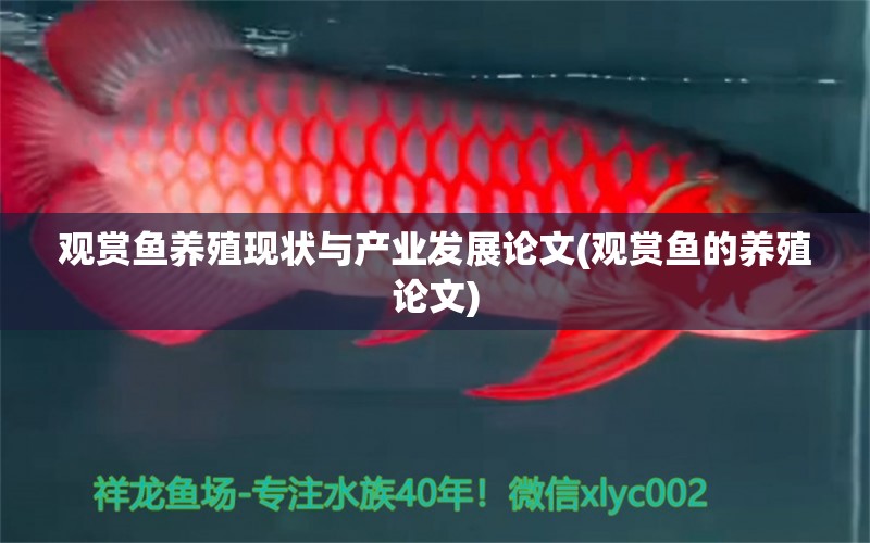 觀賞魚養(yǎng)殖現(xiàn)狀與產(chǎn)業(yè)發(fā)展論文(觀賞魚的養(yǎng)殖論文) 沖氧泵