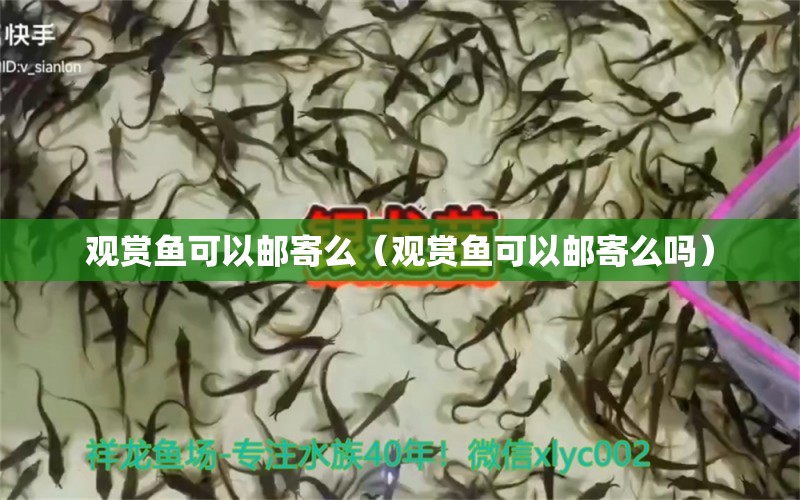 觀賞魚可以郵寄么（觀賞魚可以郵寄么嗎）